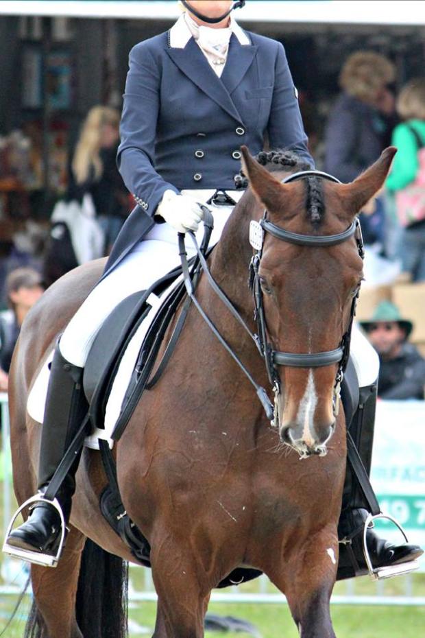 1496607_778307475514805_1402150192_n