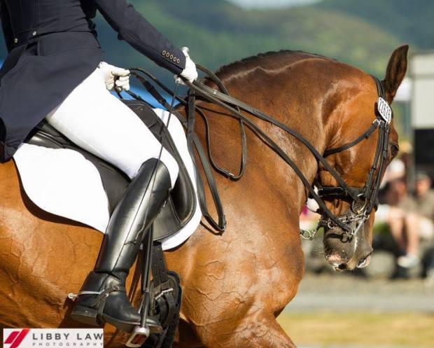 1506655_10203245012385459_825452776_n